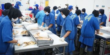 Investasi Sektor Perikanan Banjir Insentif dan Dukungan
