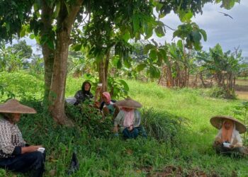 Petani dan Pembudidaya Ikan Sambut Gembira Ketersediaan Pupuk Bersubsidi sejak Tahun Baru