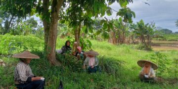 Petani dan Pembudidaya Ikan Sambut Gembira Ketersediaan Pupuk Bersubsidi sejak Tahun Baru