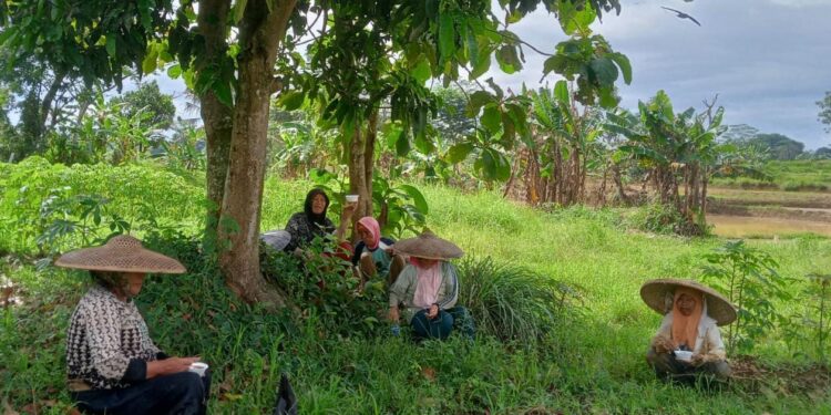 Petani dan Pembudidaya Ikan Sambut Gembira Ketersediaan Pupuk Bersubsidi sejak Tahun Baru