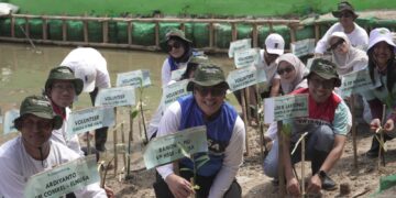 Aksi Penghijauan PHE ONWJ dan Elnusa di Pesisir Karawang