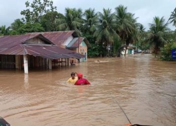 WALHI Sebut Pemerintah Seenak Udelnya Ubah Status Hutan jadi Non Hutan
