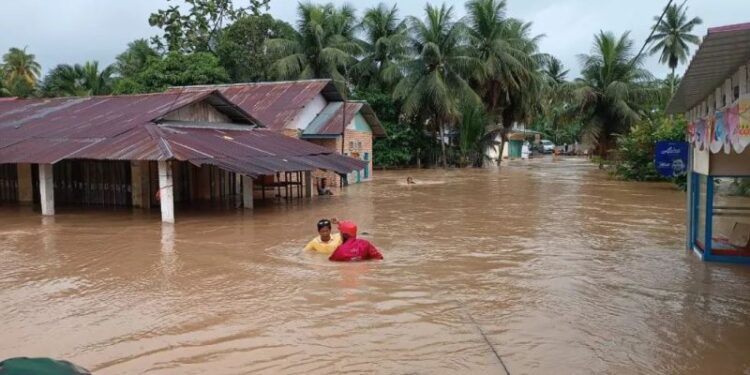 WALHI Sebut Pemerintah Seenak Udelnya Ubah Status Hutan jadi Non Hutan
