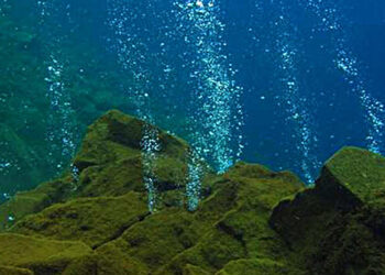 OceanX dan BRIN Gelar Ekspedisi Laut Dalam, Mengeksplorasi Gunung Laut Sulawesi