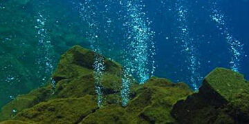 OceanX dan BRIN Gelar Ekspedisi Laut Dalam, Mengeksplorasi Gunung Laut Sulawesi