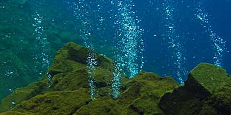 OceanX dan BRIN Gelar Ekspedisi Laut Dalam, Mengeksplorasi Gunung Laut Sulawesi