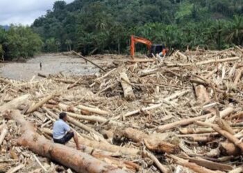 Menakar Bisnis, HAM dan Lingkungan di Banjir Bandang Sumatra dan Aceh