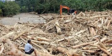 Menakar Bisnis, HAM dan Lingkungan di Banjir Bandang Sumatra dan Aceh