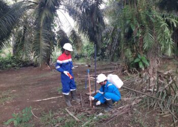 Akselerasi Elnusa di Sektor Jasa Eksplorasi Migas Indonesia Timur