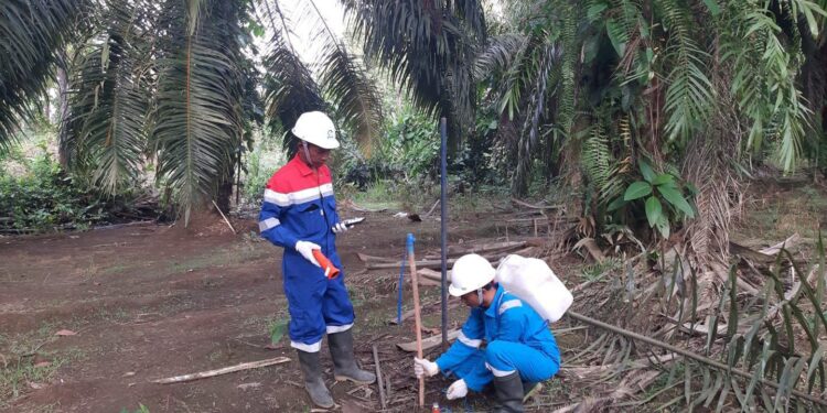 Akselerasi Elnusa di Sektor Jasa Eksplorasi Migas Indonesia Timur