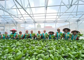 Menyulap Lahan Tandus Menjadi Ladang Cuan