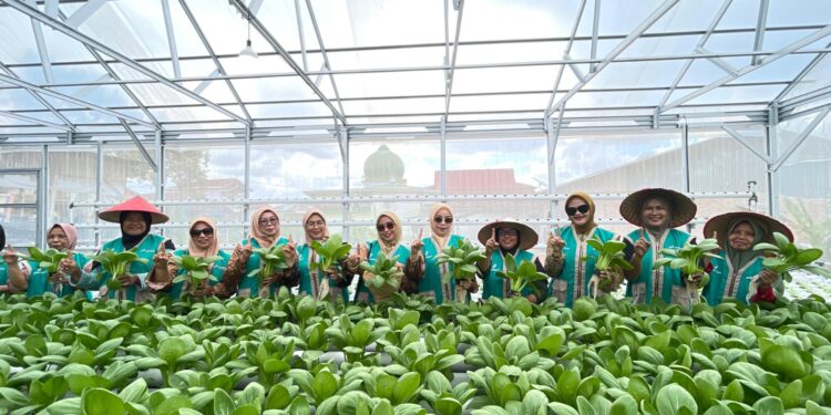 Menyulap Lahan Tandus Menjadi Ladang Cuan