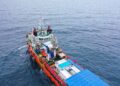 Elnusa Tuntaskan Survei Seismik 3D OBN Zulu North