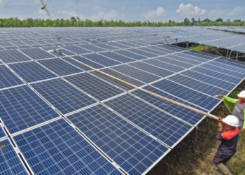 Saatnya Pemerintah Akselerasi Energi Terbarukan di Tengah Pemangkasan Produksi Batu Bara