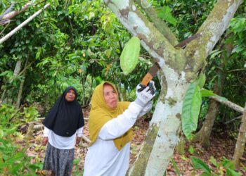 Kisah Perempuan yang Menjadi Tulang Punggung  Keluarga di Tengah Peringatan Hari Kartini