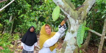 Kisah Perempuan yang Menjadi Tulang Punggung  Keluarga di Tengah Peringatan Hari Kartini