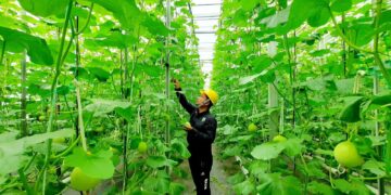 Tak Diragukan, Geothermal Dongkrak Perekonomian Rakyat