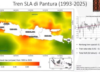Awas! Sebanyak 65,8 Persen Garis Pantai Pantura Jawa Tergerus Erosi