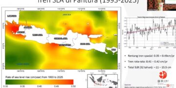 Awas! Sebanyak 65,8 Persen Garis Pantai Pantura Jawa Tergerus Erosi