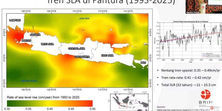 Awas! Sebanyak 65,8 Persen Garis Pantai Pantura Jawa Tergerus Erosi