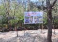 Gerakan Dekarbonisasi Industri Hulu Migas, Transformasi Lautan Sampah jadi Ekowisata Hutan Mangrove
