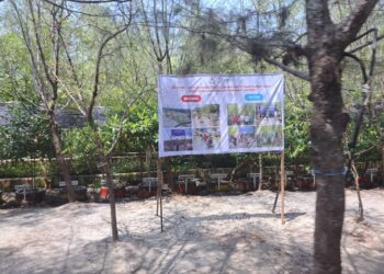 Gerakan Dekarbonisasi Industri Hulu Migas, Transformasi Lautan Sampah jadi Ekowisata Hutan Mangrove