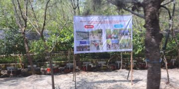 Gerakan Dekarbonisasi Industri Hulu Migas, Transformasi Lautan Sampah jadi Ekowisata Hutan Mangrove