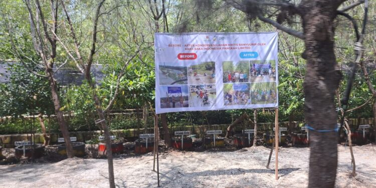 Gerakan Dekarbonisasi Industri Hulu Migas, Transformasi Lautan Sampah jadi Ekowisata Hutan Mangrove