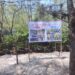 Gerakan Dekarbonisasi Industri Hulu Migas, Transformasi Lautan Sampah jadi Ekowisata Hutan Mangrove