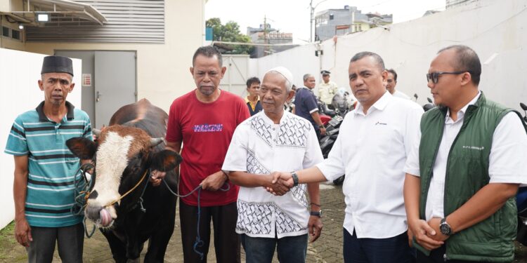 Menyambut Idul Adha 1447 H, PDC Distribusikan Hewan Kurban ke Wilayah Operasional
