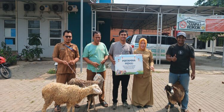 Pertagas Salurkan 475 Hewan Kurban ke 300 Titik di Hari Raya Idul Adha ke Wilayah Operasi Perusahaan
