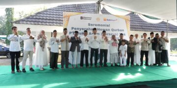 PTBA Sebar 300 Hewan Kurban di Berbagai Wilayah Operasional