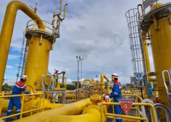 Kolaborasi PGN dan Pupuk Indonesia Kembangkan Amonia Rendah Karbon