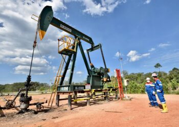 SKK Migas Gelar MWT Bersama Pertamina EP