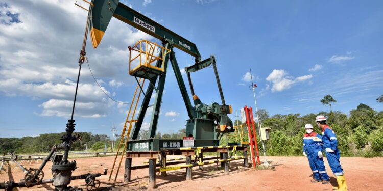 SKK Migas Gelar MWT Bersama Pertamina EP