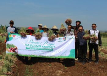 UT Semen Gresik Dukung Kemandirian Ekonomi Desa Karanglo Tuban dengan Tanam Bawang Merah
