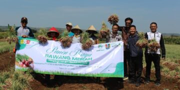 UT Semen Gresik Dukung Kemandirian Ekonomi Desa Karanglo Tuban dengan Tanam Bawang Merah