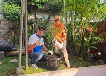 Aksi Penanaman Pohon Pekerja Pertamina Drilling di Tengah Peringatan Hari Lingkungan Hidup Sedunia