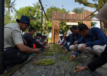 Sah! Nursery Mangrove Unggul Semai Adaptif Diresmikan di Lampung Timur