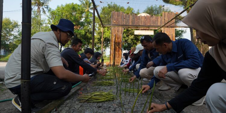 Sah! Nursery Mangrove Unggul Semai Adaptif Diresmikan di Lampung Timur