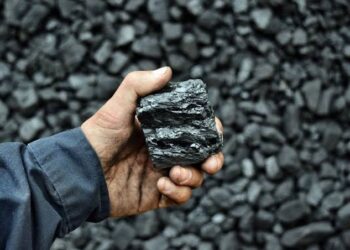 Birokrasi yang Tidak Lelet dan Akurat, Dua Permintaan IMA untuk Menjaga Market Batubara Indonesia