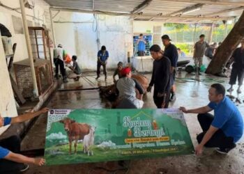 Elnusa Sebar Hewan Kurban di Idul Adha 1447 H