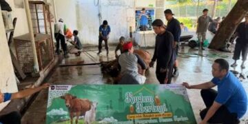 Elnusa Sebar Hewan Kurban di Idul Adha 1447 H