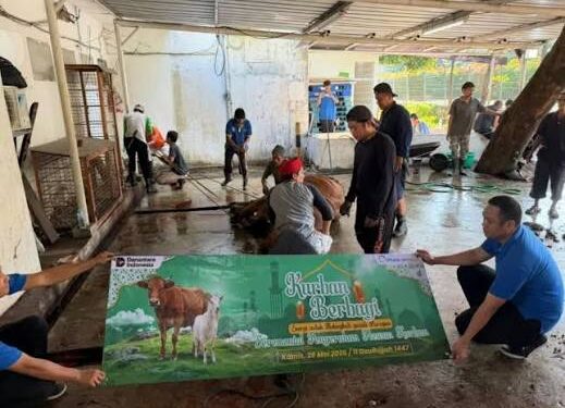 Elnusa Sebar Hewan Kurban di Idul Adha 1447 H