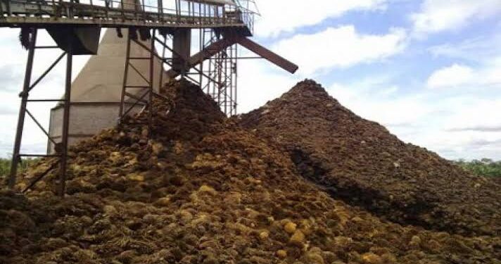 Wow! Siapa Sangka Pelepah Sawit dan Limbah Styrofoam Bisa Disulap jadi BBM Kapal