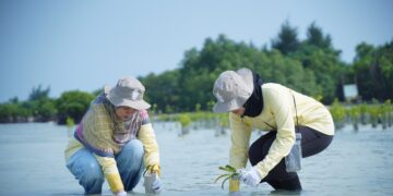 PHI Gelar Aksi Tanam Mangrove dan Lamun di Kepulauan Seribu