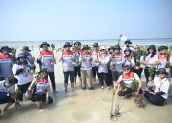 Gerakan Pertamina Drilling Rehabilitasi Kawasan Pesisir Kepulauan Seribu