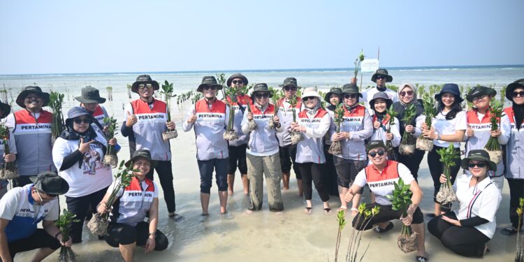 Gerakan Pertamina Drilling Rehabilitasi Kawasan Pesisir Kepulauan Seribu