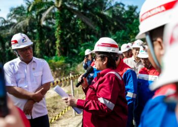 Kementerian Lingkungan Hidup, SKK Migas, dan PHR Dorong Pemulihan TTM secara Komprehensif
