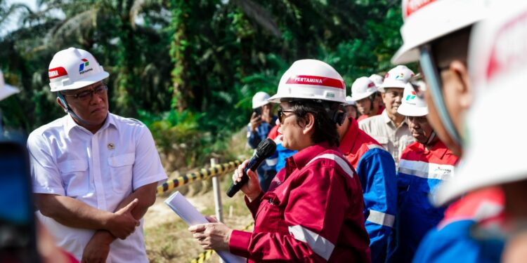 Kementerian Lingkungan Hidup, SKK Migas, dan PHR Dorong Pemulihan TTM secara Komprehensif